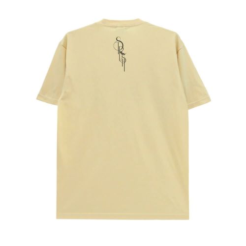 STRUSH T-SHIRT ストラッシュ Tシャツ SMOKE LOGO NATURAL スケートボード スケボー 1