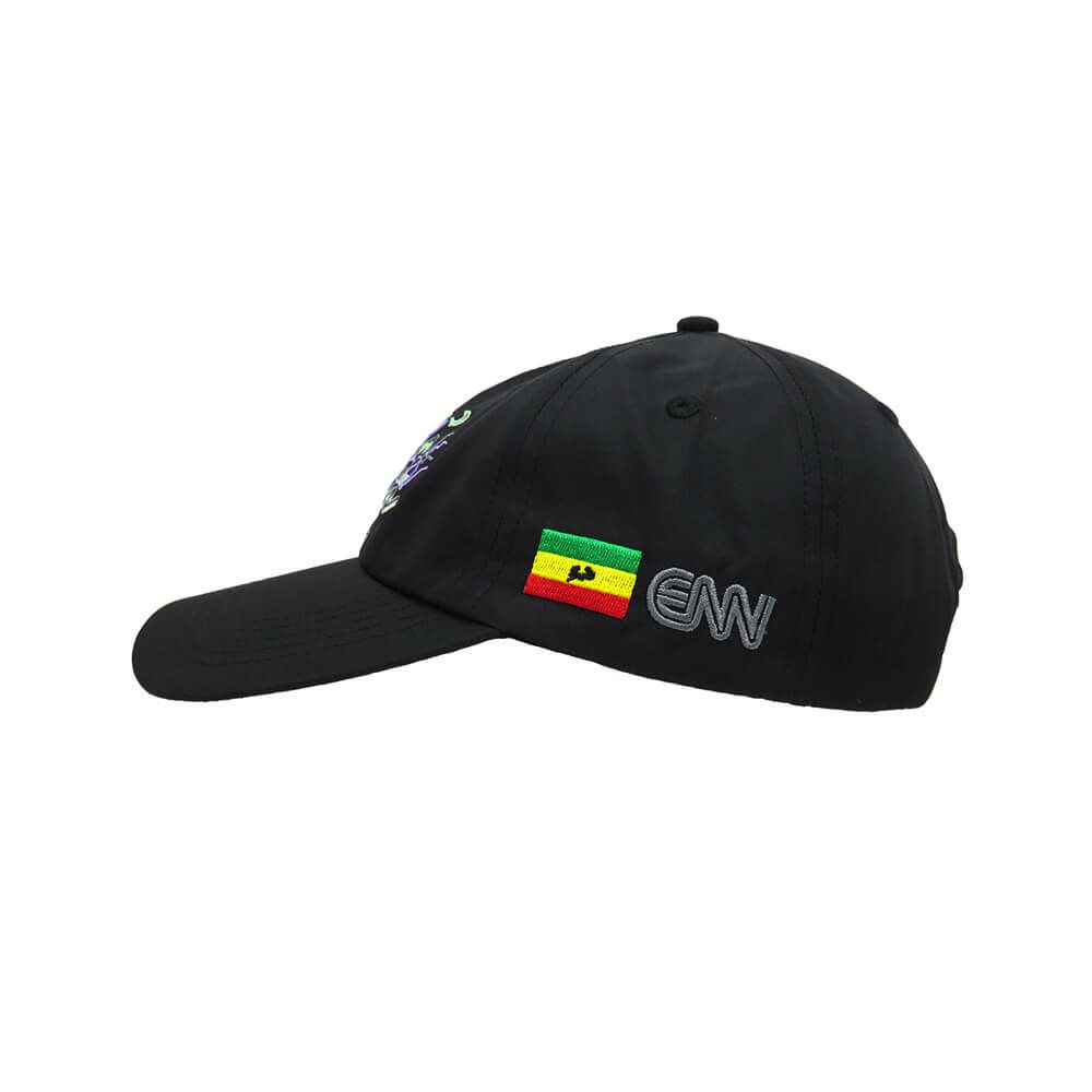 EVISEN CAP エビセン キャップ EVI CITY 6 PANEL BLACK スケートボード スケボー 2