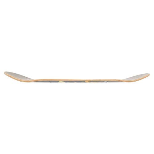 FTC DECK エフティーシー デッキ TEAM FTC x YOON HYUP AUTUMN BREEZE 8.25 スケートボード スケボー 2