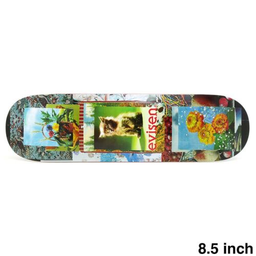 EVISEN DECK エビセン デッキ TEAM FELINE MACHINE 8.5 スケートボード スケボー 1