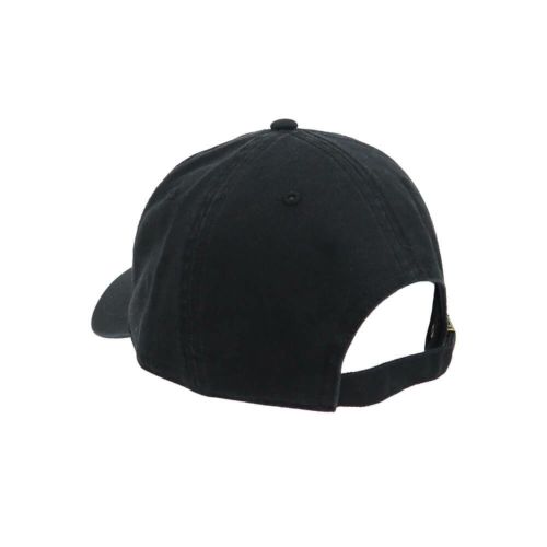 EMERICA CAP エメリカ キャップ PURE GOLD DAD BLACK/GREEN スケートボード スケボー 2