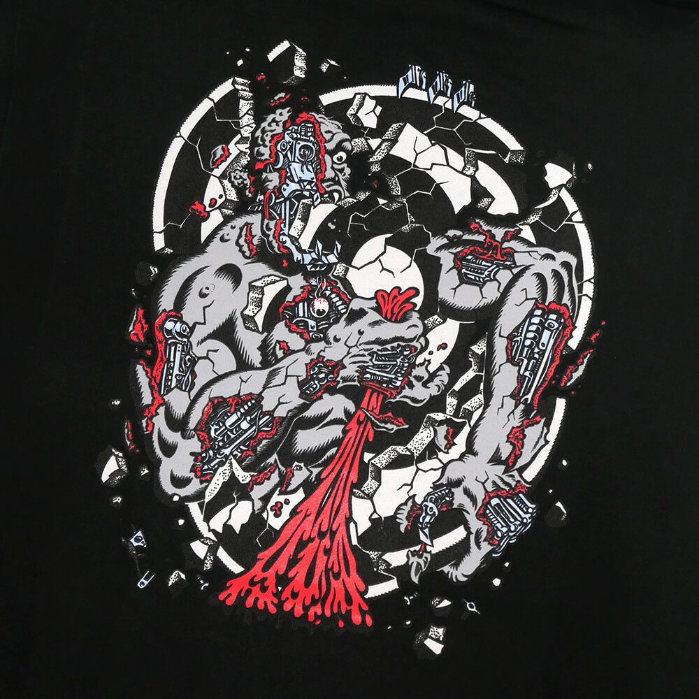 SANTA CRUZ HOOD サンタクルーズ パーカー ROSKOPP DISSECT BLACK スケートボード スケボー 3