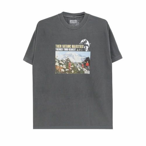 THEORIES T-SHIRT セオリーズ Tシャツ MAJESTIES GARMENT DYED WASHED BLACK スケートボード スケボー 
