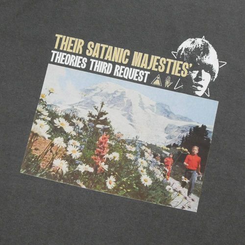 THEORIES T-SHIRT セオリーズ Tシャツ MAJESTIES GARMENT DYED WASHED BLACK スケートボード スケボー 1