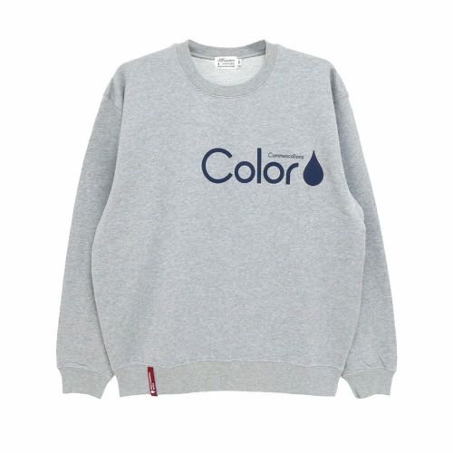 COLOR COMMUNICATIONS CREW SWEAT カラーコミュニケーションズ トレーナー RE-PAINT CO. 2021 GREY スケートボード スケボー 