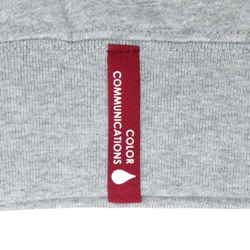 COLOR COMMUNICATIONS CREW SWEAT カラーコミュニケーションズ トレーナー RE-PAINT CO. 2021 GREY スケートボード スケボー 2