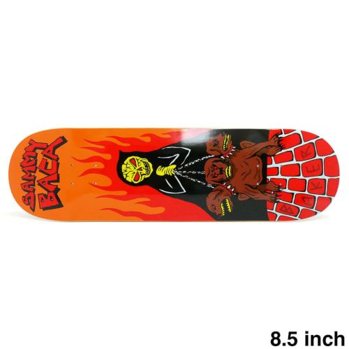 BAKER DECK ベイカー デッキ SAMMY BACA CERBERUS 8.5 スケートボード スケボー 1