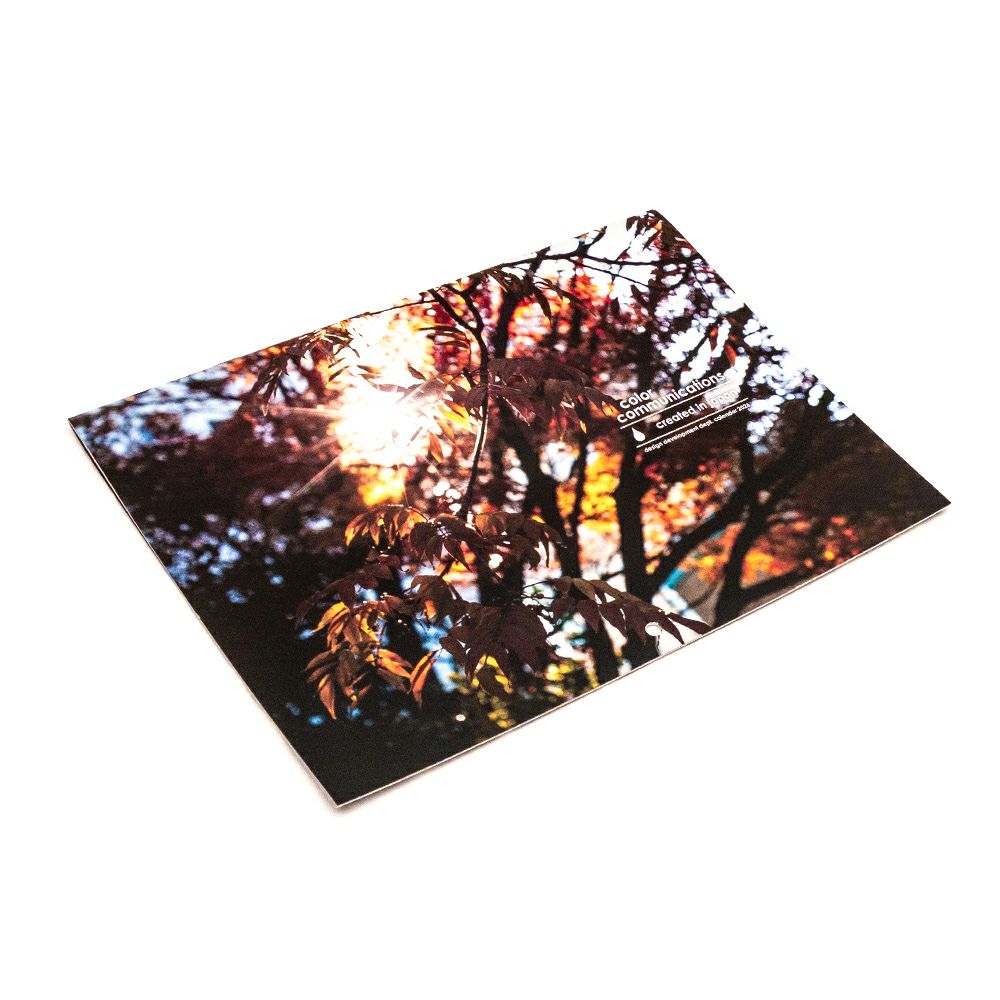 COLOR COMMUNICATIONS CALENDAR カラーコミュニケーションズ カレンダー2026 スケートボード スケボー 01