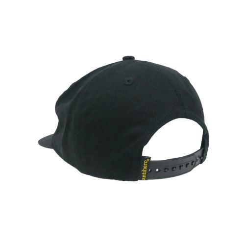 ANTIHERO CAP アンチヒーロー キャップ BASIC EAGLE SNAPBACK BLACK/GREY スケートボード スケボー 2