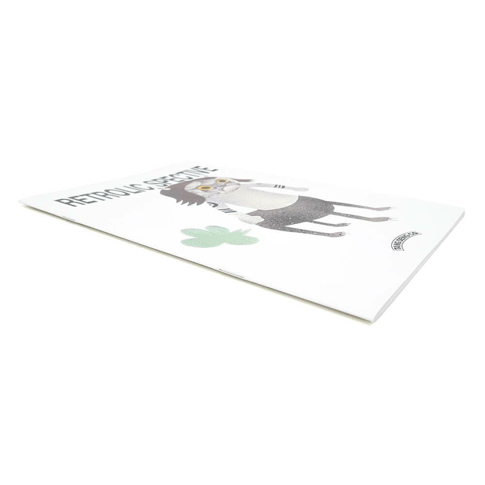 DISKAH ZINE（作品集） RETROLIC SPECTIVE スケートボード スケボー 02